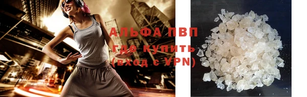 ПСИЛОЦИБИНОВЫЕ ГРИБЫ Касимов
