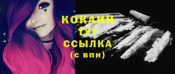ПСИЛОЦИБИНОВЫЕ ГРИБЫ Касимов