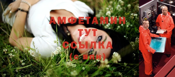 ПСИЛОЦИБИНОВЫЕ ГРИБЫ Касимов