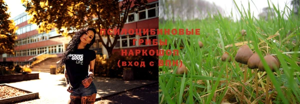 ПСИЛОЦИБИНОВЫЕ ГРИБЫ Касимов