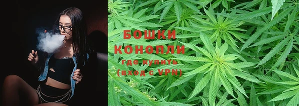 ПСИЛОЦИБИНОВЫЕ ГРИБЫ Касимов
