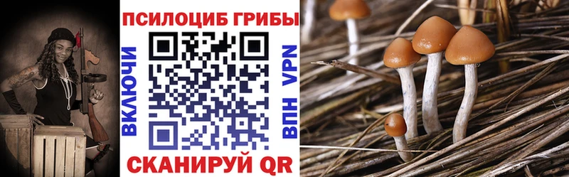 Псилоцибиновые грибы Psilocybe  Купить закладки  Волоколамск 